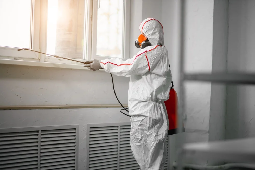 Professional mold remediation services in Beaufort, NC